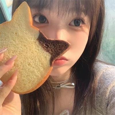 魔法灵猫