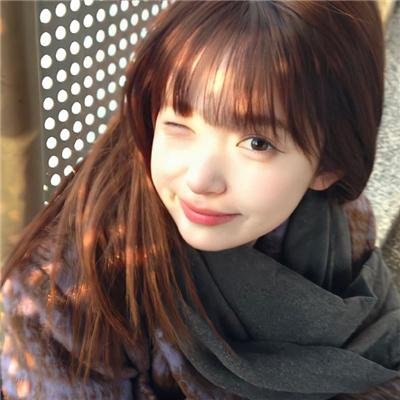 狮子退贼